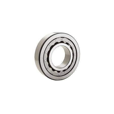 Cylindrical Roller Bearing - Metric